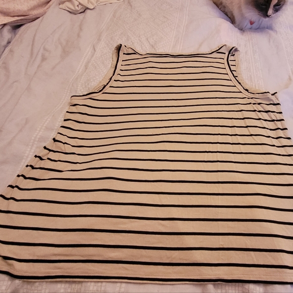 3/$25 Old Navy neutral striped v-neck tank, size petite L - Picture 3 of 5
